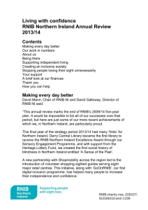 RNIB Northern Ireland Annual Review 2013/14