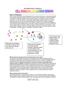 GYURE handout cell signalling - Western Connecticut State University