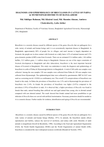 enzyme linked immunosorbent assay for the diagnoses of