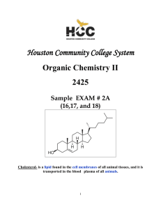 Sample Exam - HCC Southwest College