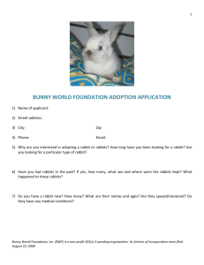 Word - Bunny World Foundation