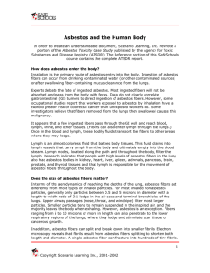 Asbestos and the Human Body