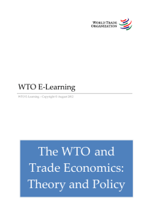 The WTO and Trade Economics: Theory and Policy