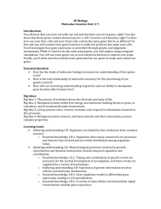 Molecular Genetics