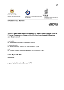 WIPO/SSC/CAI/13/1 page 1 E MINISTRY OF FOREIGN AFFAIRS
