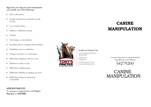 Canine Manipulation (Client brochure)