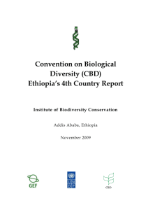 CBD Fourth National Report - Ethiopia