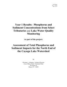 Assessment of Total Phosphorus and Sediment Impacts