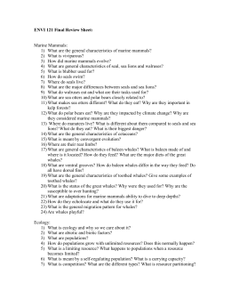 Essay Health Care Essay About Complaint Travelling To Paris The Kite Runner Essay Thesis also Family Business Essay Healthy Eating Argumentative Essay Example Of A Thesis Statement For An Essay