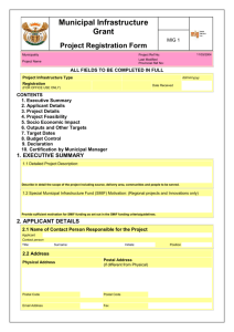 Consolidated Municipal Infrastructure Programme Business Plan Form