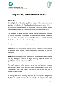 Dog Breeding Establishment Guidelines