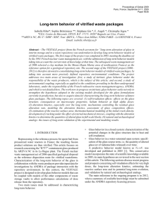 Long-term behavior of vitrified waste packages