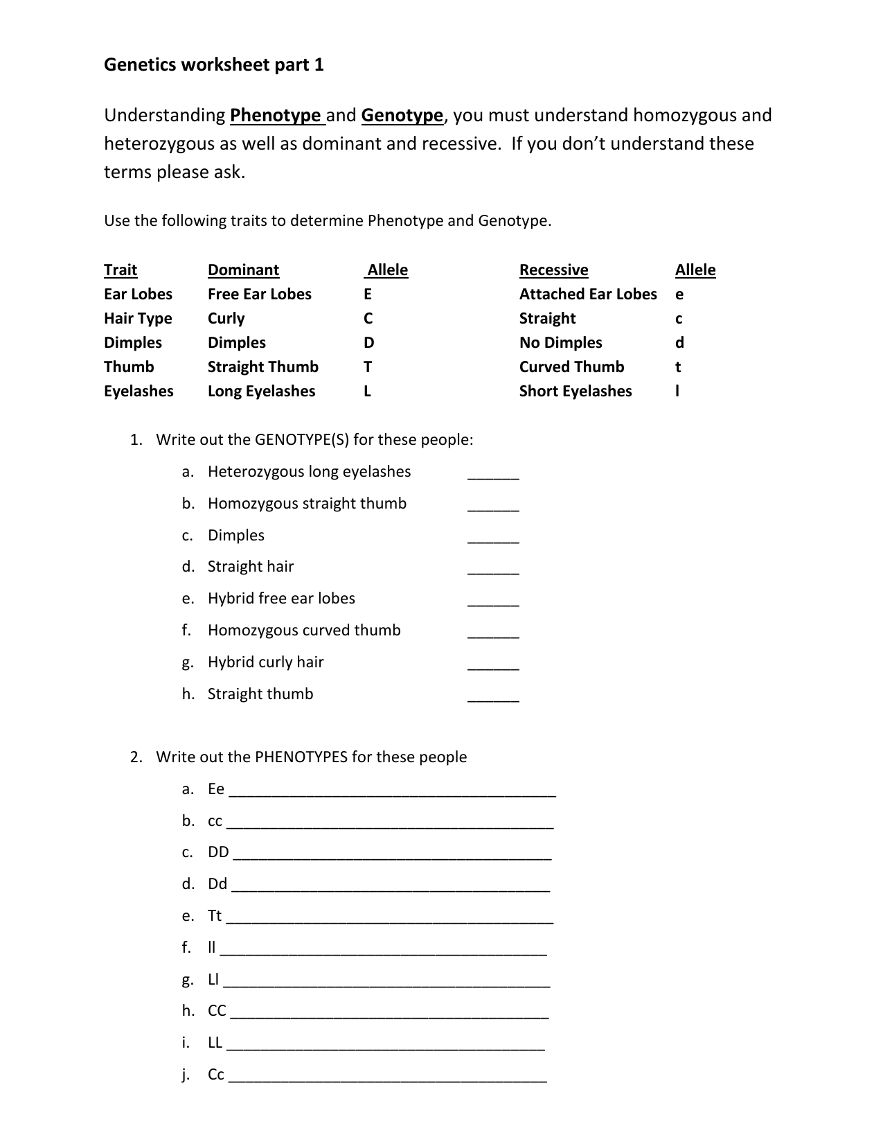 Genetics Worksheet Answer Key 5551