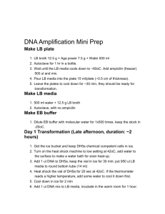 DNA Amplification Mini Prep