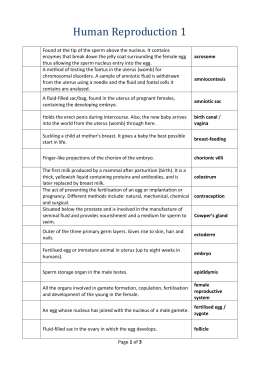 Human reproduction worksheet
