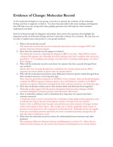 Evidence of Change: Molecular Record