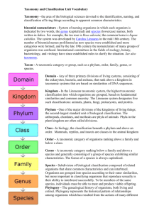 Taxonomy Vocabulary