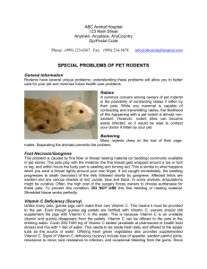 SPECIAL PROBLEMS OF PET RODENTS