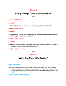 Chapter 3 Living Things Grow and Reproduce A66 Lesson Preview
