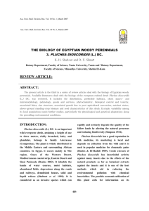 the biology of egyptian woody perennials, 3. pluchea dioscoridis (l.)