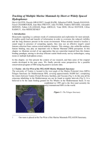 Tracking of Multiple Marine Mammals by Short or Widely