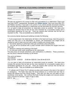 Dental Consent Form - Fire Mountain Veterinary Hospital in