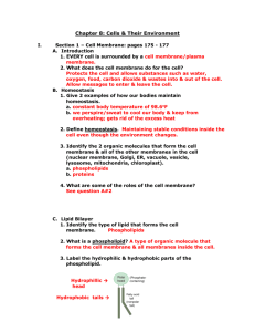 Chapter 8: Cells & Their Environment I. Section 1 – Cell Membrane