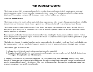 THE IMMUNE SYSTEM The immune system, which is made up of