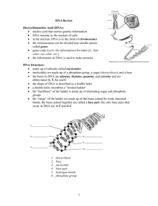 DNA Review