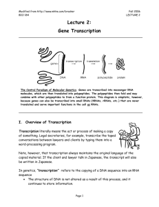 Lecture 2-Gene Transcription