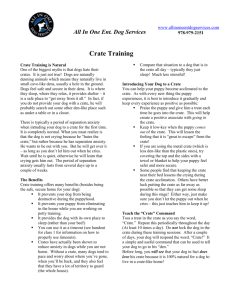 Crate Training - All In One Ent. Dog Services
