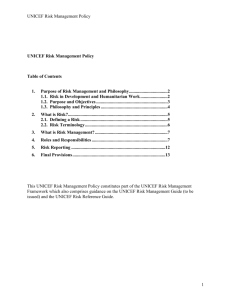 UNICEF Risk Management Policy Final