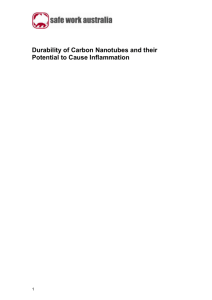 Durability of carbon nanotubes and their potential to cause