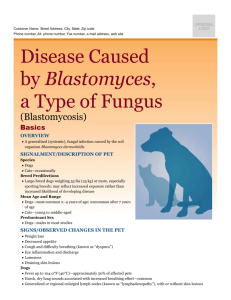 disease_caused_by_blastomyces