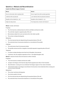 Genetics 1: Meiosis and Recombination