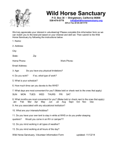 This is the volunteer application form for the Wild Horse Sanctuary