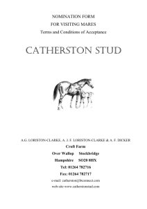 here - Catherston Stud