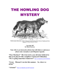 THE HOWLING DOG MYSTERY