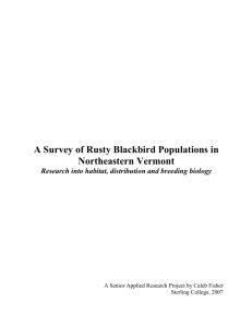 A Survey of Rusty Blackbird Populations in