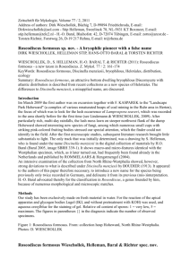 Wieschollek-etal-2011-Roseodiscus-Text-engl-0001