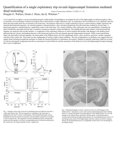 Journal of Neuroscience Methods 113 (2002) 131–145