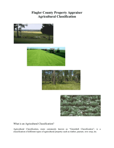 Agricultural Classification - Flagler County Property Appraiser