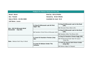 Pedigree for Bokson Just For Lust (AI)