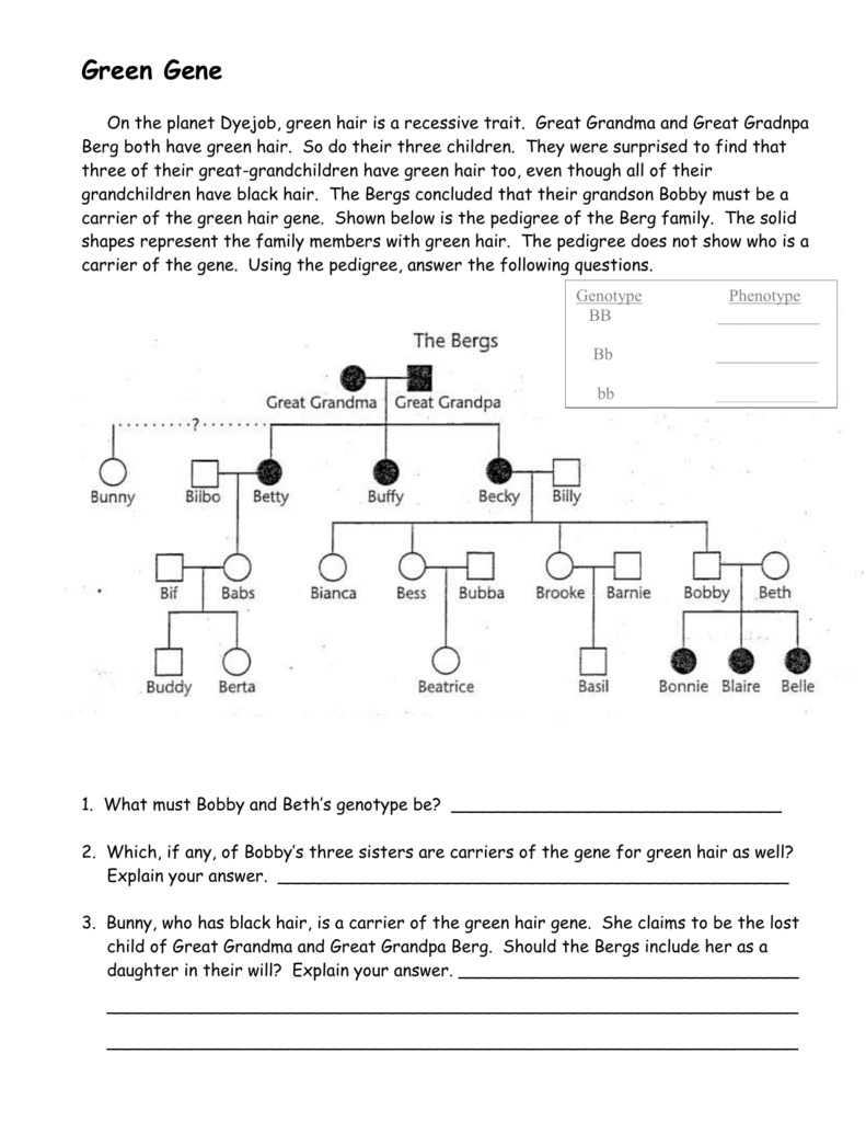 Green Hair Pedigree Worksheet Simple Answer Key Studying Worksheets