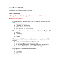 printer-friendly sample test questions
