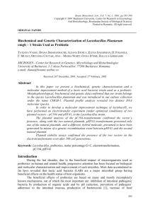 Biochemical and genetic caracterization of some lactic acid bacteria