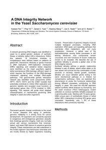 A DNA Integrity Network in the Yeast Saccharomyces cerevisiae