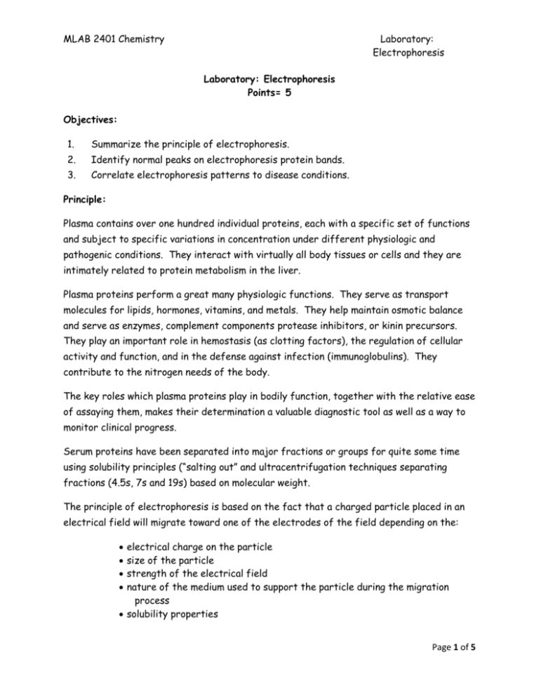 electrophoresis experiment lab report