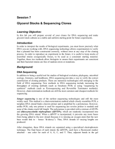 Glycerol Stocks & Sequencing Clones