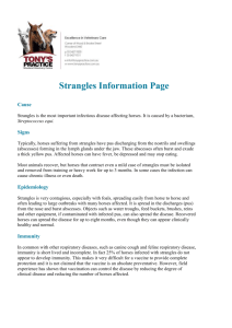 Strangles Information Page